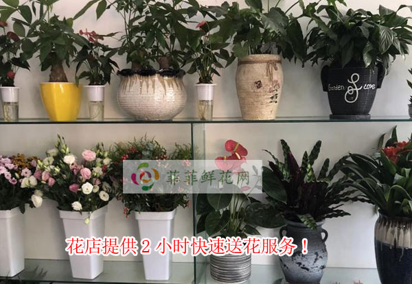 东莞塘厦花店提供东莞塘厦2小时快速送花服务