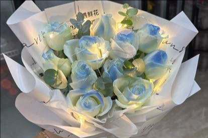 ��ݸ���û���