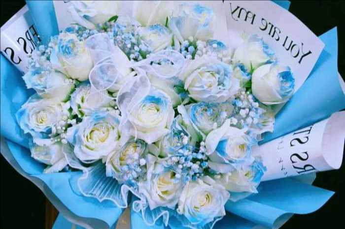 ��ݸ���û���