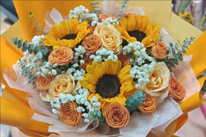��ݸ���û���
