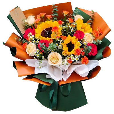 ��ݸ���û���